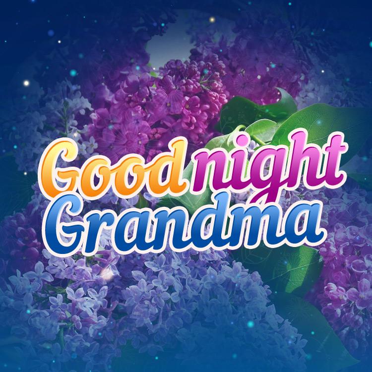 Good Night Grandma Image with beautiful flowers on the background, square size (square shape image)