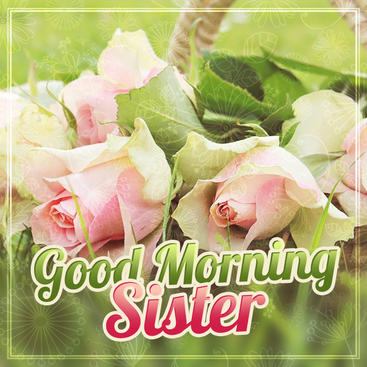 Good Morning Sister beautiful picture with pink roses, square shape (square shape image)