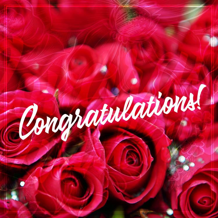 Congratulations picture with red roses, square shape (square shape image)