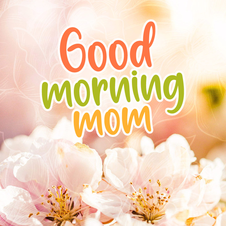 Good Morning Mom square shape image with colorful caption and floral background (square shape image)