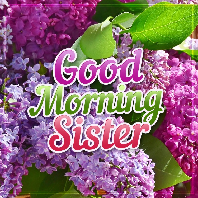 Good Morning Sister square shape image with lilac bush on the background (square shape image)