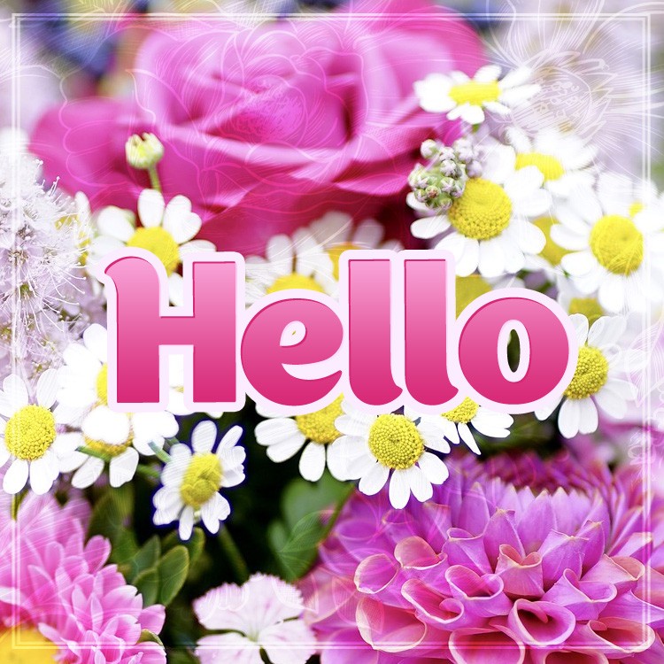 Hello, image with beautiful flowers (square shape image)