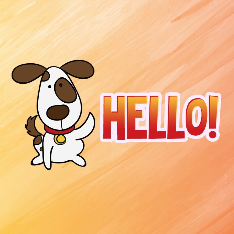 Hello funny image with cartoon dog (square shape image)