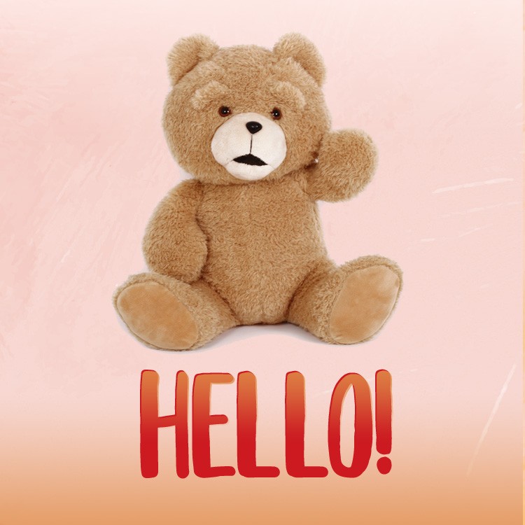 Hello square shape image with teddy bear (square shape image)