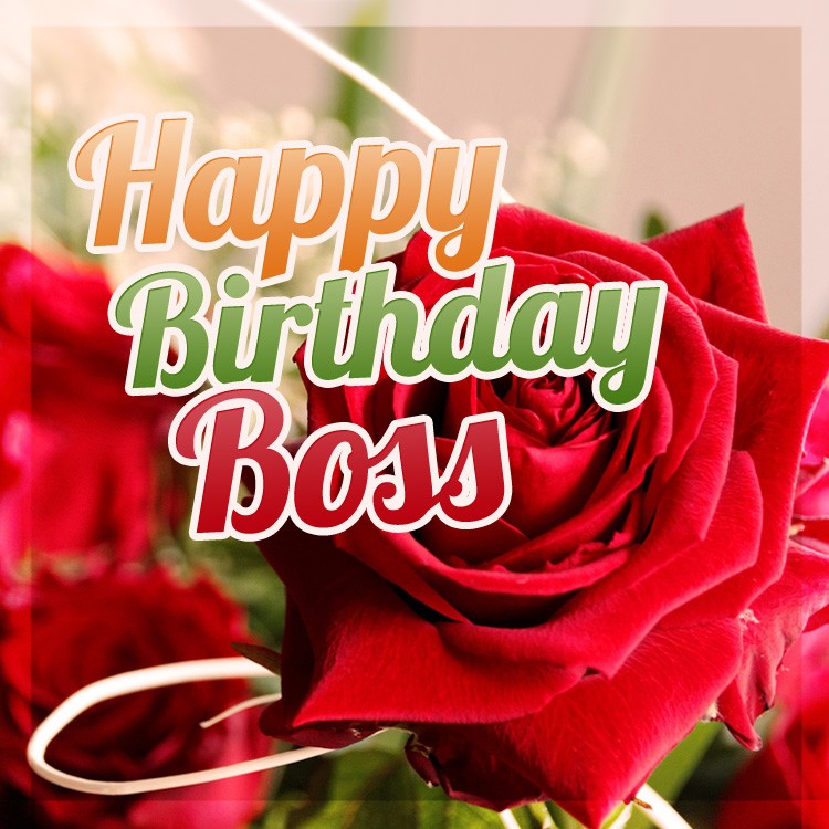 Happy Birthday Boss square shape picture with beautiful roses (square shape image)