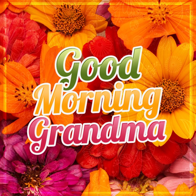 Good Morning Grandma square shape picture with colorful flowers (square shape image)