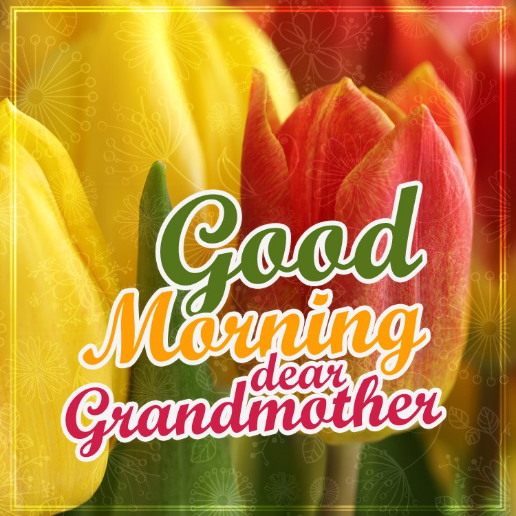 Good Morning dear Grandmother square shape image with tulips (square shape image)