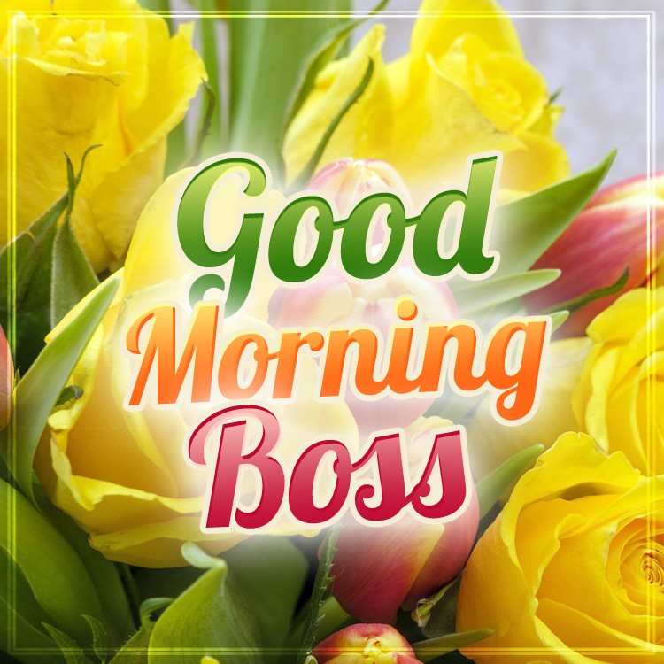 Good Morning Boss square shape Image with beautiful flowers (square shape image)