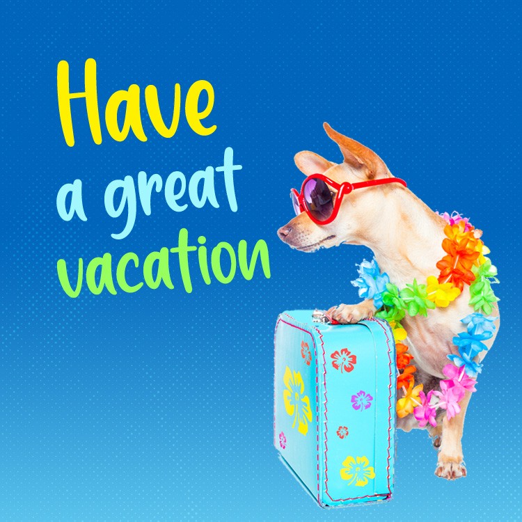 Have a great Vacation funny picture with dog (square shape image)
