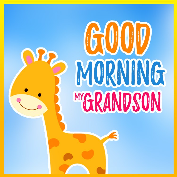 Good Morning my grandson funny square shape image with cartoon giraffe (square shape image)