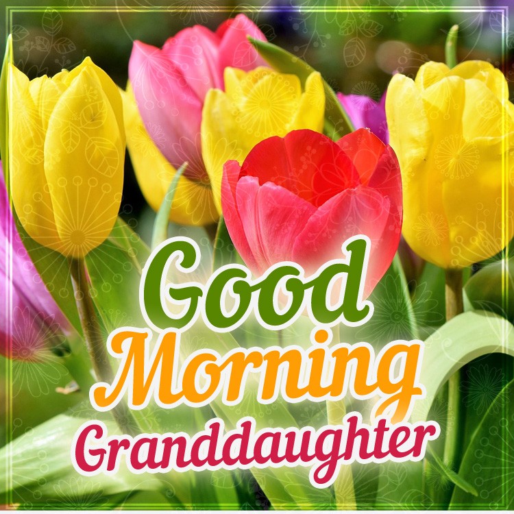 Good Morning granddaughter square shape image with colorful flowers (square shape image)