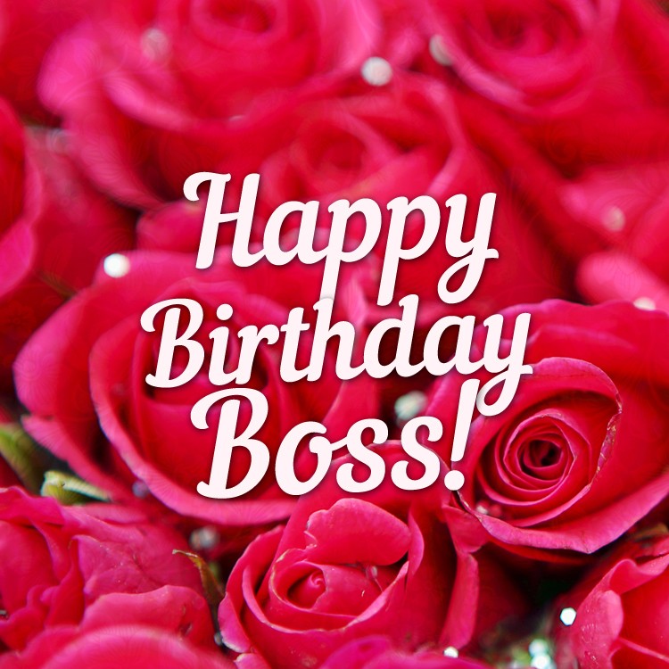 Happy Birthday square shape image For Boss Lady (square shape image)