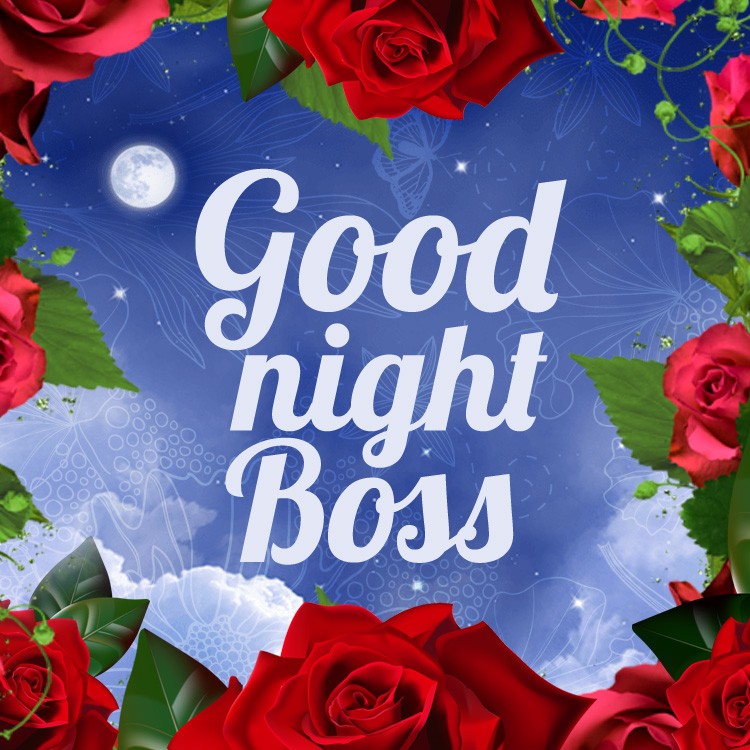 Good Night Boss square shape picture with beautiful red roses (square shape image)