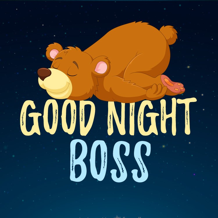 Good Night Boss funny square shape picture with sleeping bear (square shape image)