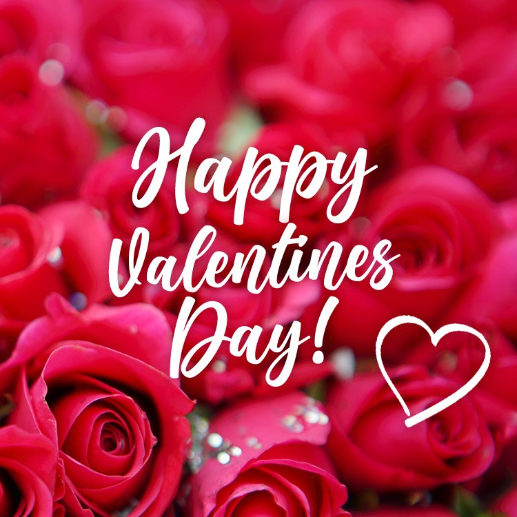 Happy Valentine's Day square shape Image with beautiful red roses (square shape image)