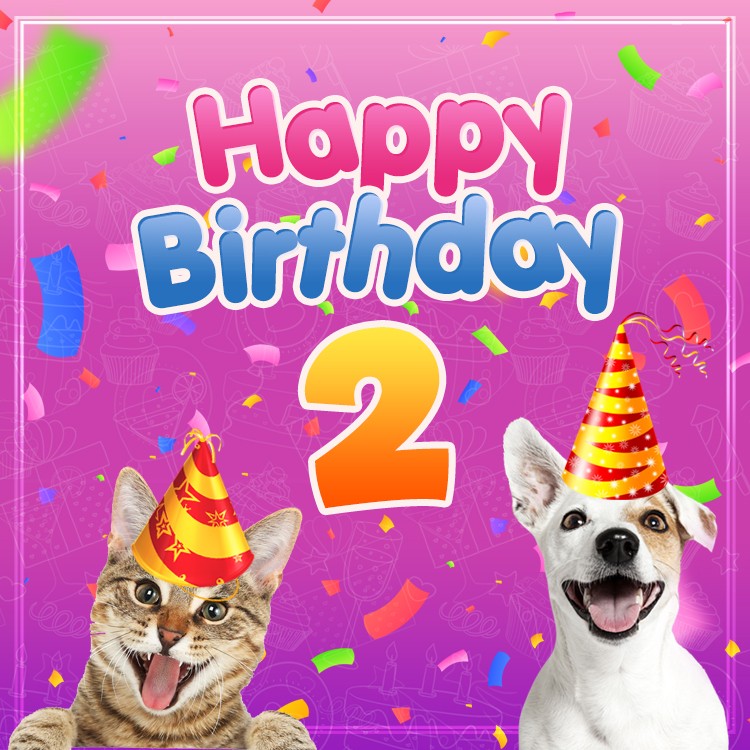 Happy 2nd Birthday funny square shape Image with cat and dog (square shape image)