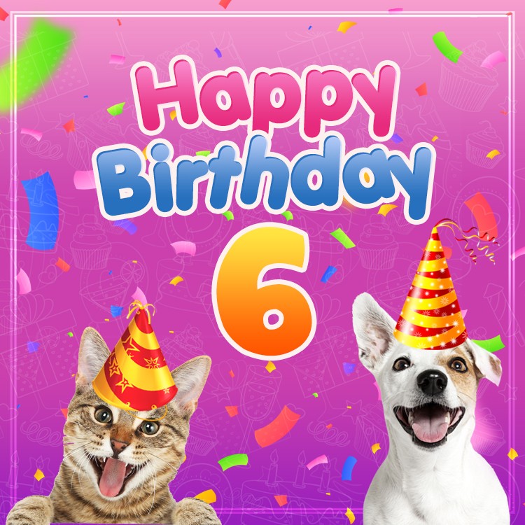 Happy 6th Birthday funny picture with dog and cat (square shape image)