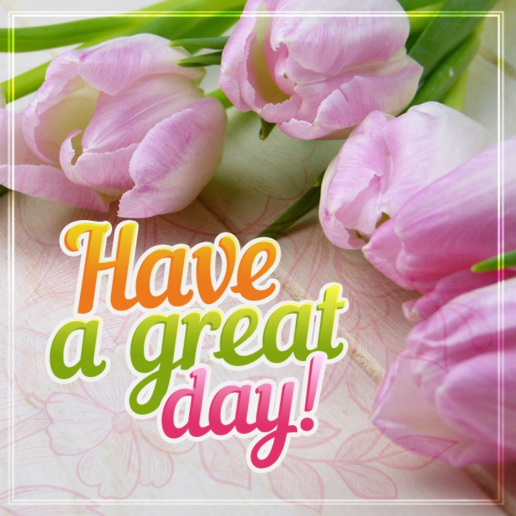 Have a Great Day image with gentle pink tulips (square shape image)