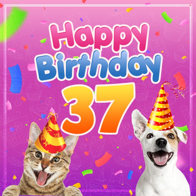 Happy 37th Birthday funny Picture with cat and dog (square shape image)