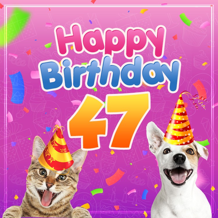 Happy 47th Birthday funny image with cat and dog (square shape image)