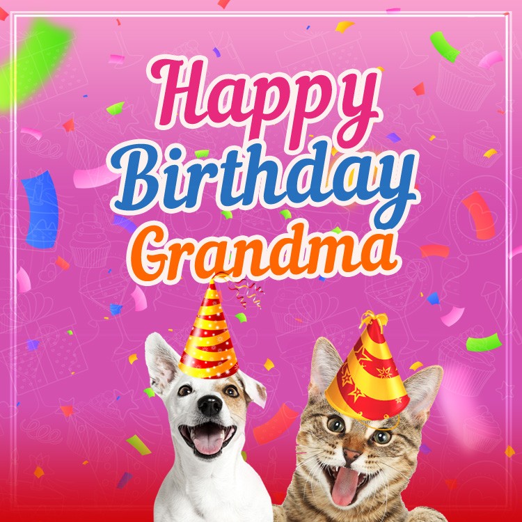 Happy Birthday Grandma funny sqaure shape image with animals (square shape image)