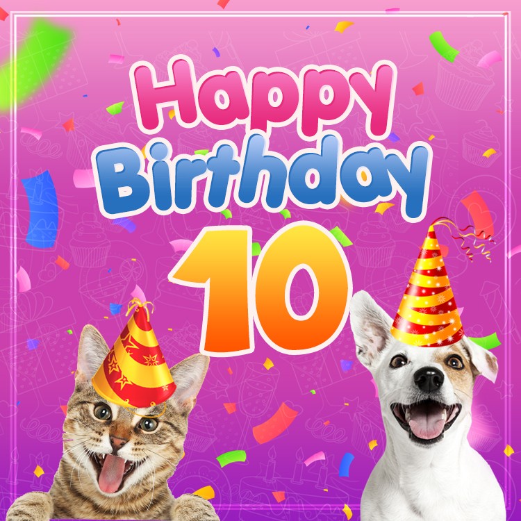 Happy 10th Birthday funny picture with dog and cat	 (square shape image)