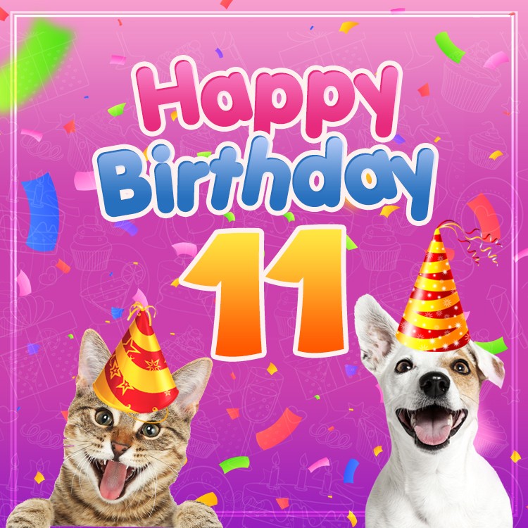 Happy 11th Birthday funny picture with dog and cat (square shape image)