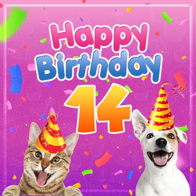 Happy 14th Birthday funny image with dog and cat (square shape image)