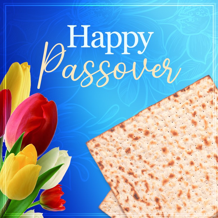 Happy Passover beautiful square image with matzo and tulips (square shape image)