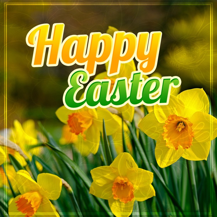 Happy Easter square shape image with beautiful yellow daffodils (square shape image)