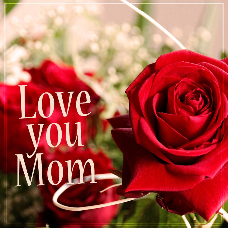 Happy Mother's Day suare shape picture with red rose (square shape image)