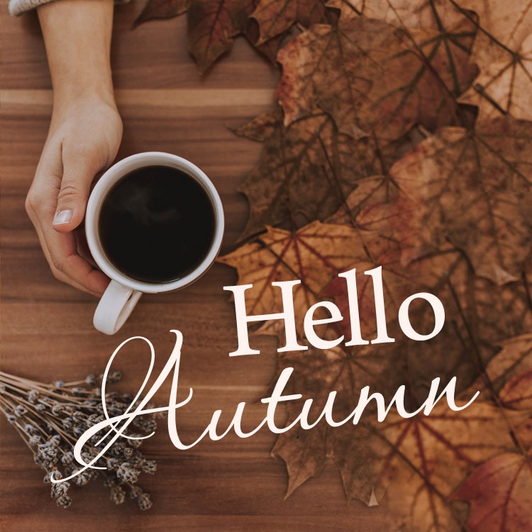 Hello Autumn picture with a hot drink on a beautiful fall background (square shape image)