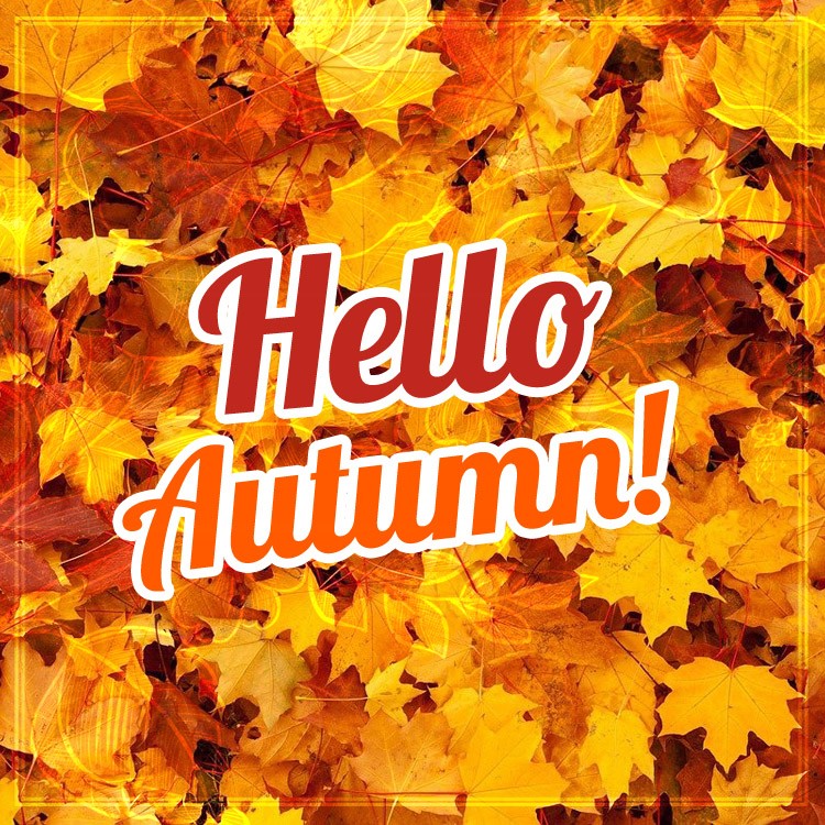 Hello Autumn picture with an inscription on the background of bright autumn leaves (square shape image)