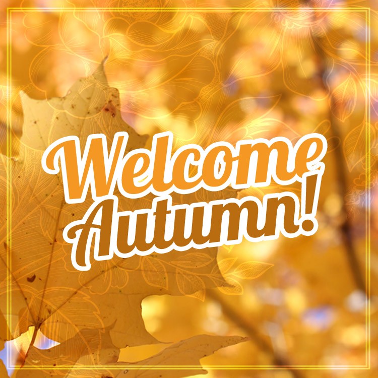 Welcome autumn image with yellowing leaves on a tree (square shape image)