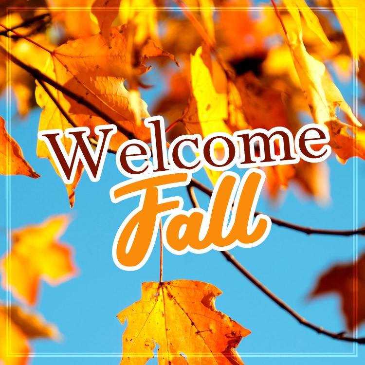 Welcome Fall image with beautiful autumn landscape (square shape image)