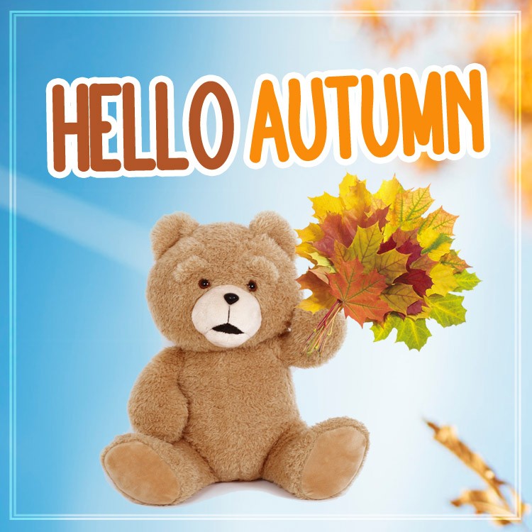 Hello Autumn funny picture of a bear holding a bouquet of fall leaves (square shape image)