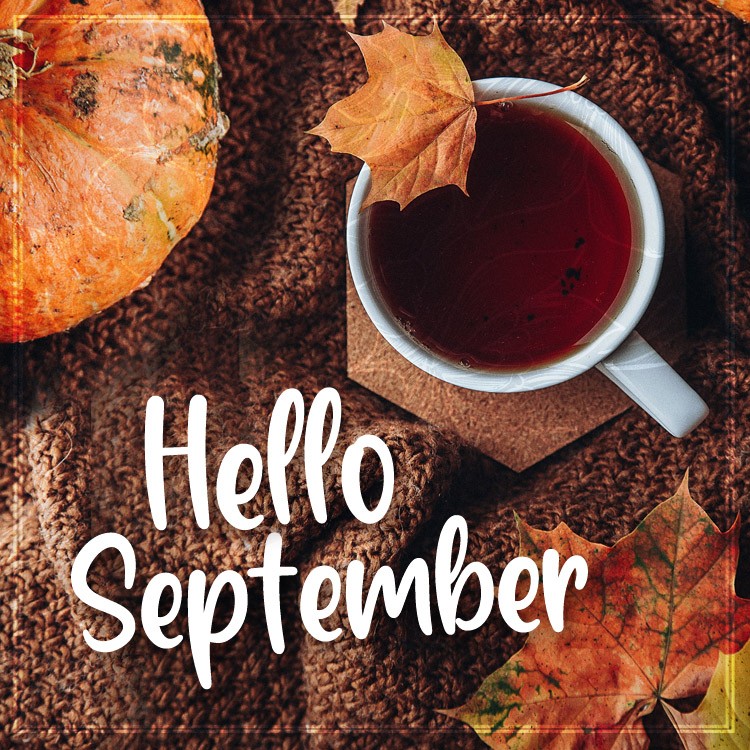 Hello September cosy Image with plaid, hot tea and pumpkin (square shape image)