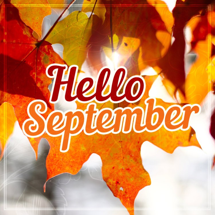 Hello September Image with big maple leaf  (square shape image)