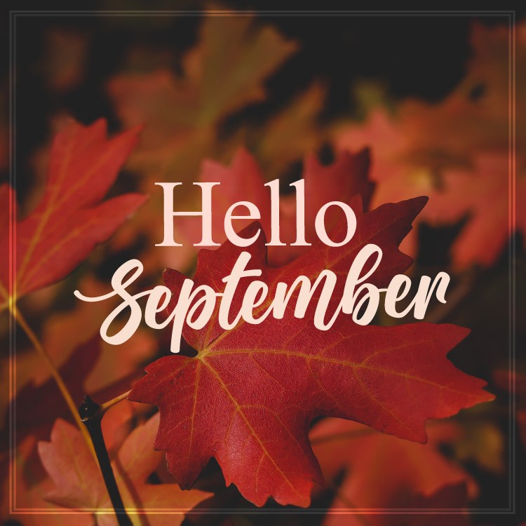 Hello September Picture with autumn leaves (square shape image)