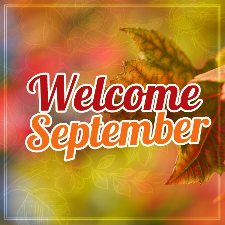 Welcome September image with autumn leaves on the tree (square shape image)