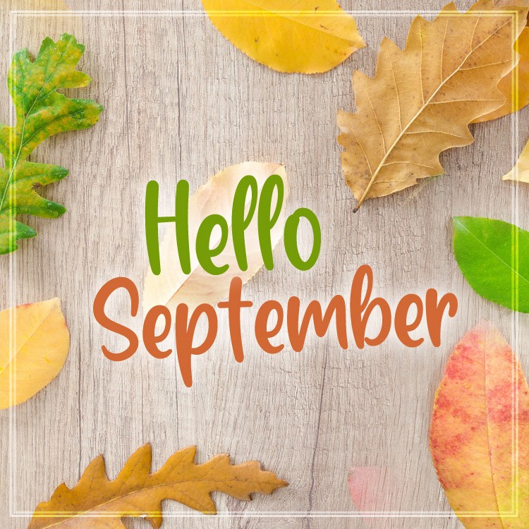 Hello September pic with leaves on a wooden table (square shape image)