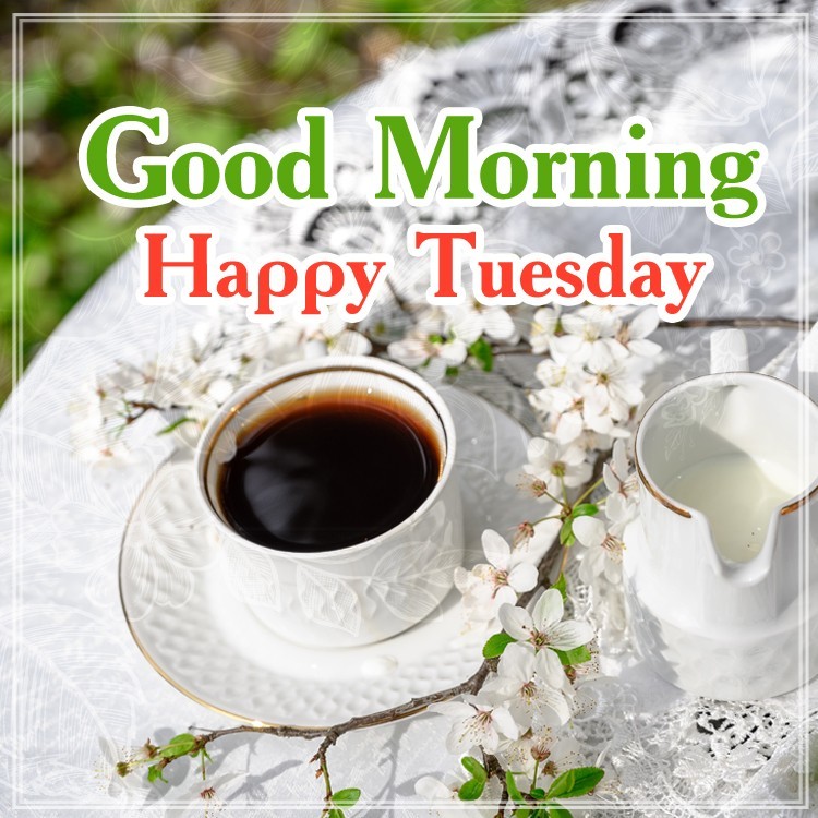 Good Morning Wishes on Tuesday, image with coffee and milk (square shape image)