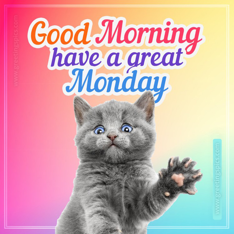 Good Morning Monday colorful image with cute kitten (square shape image)