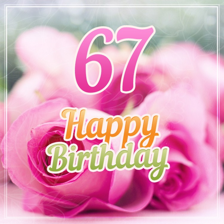 Happy 67th Birthday picture with beautiful pink rose (square shape image)