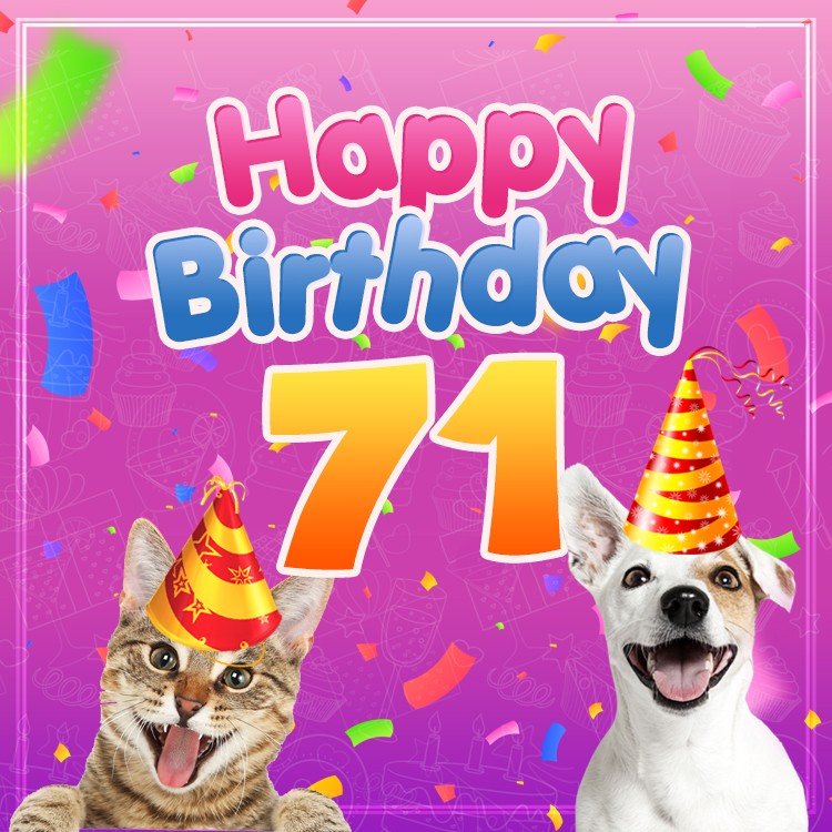 Happy 71st Birthday funny picture with cat and dog (square shape image)