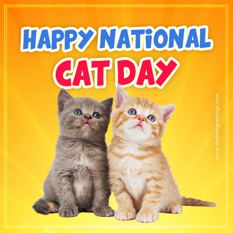 Happy National Cat Day Image (square shape image)