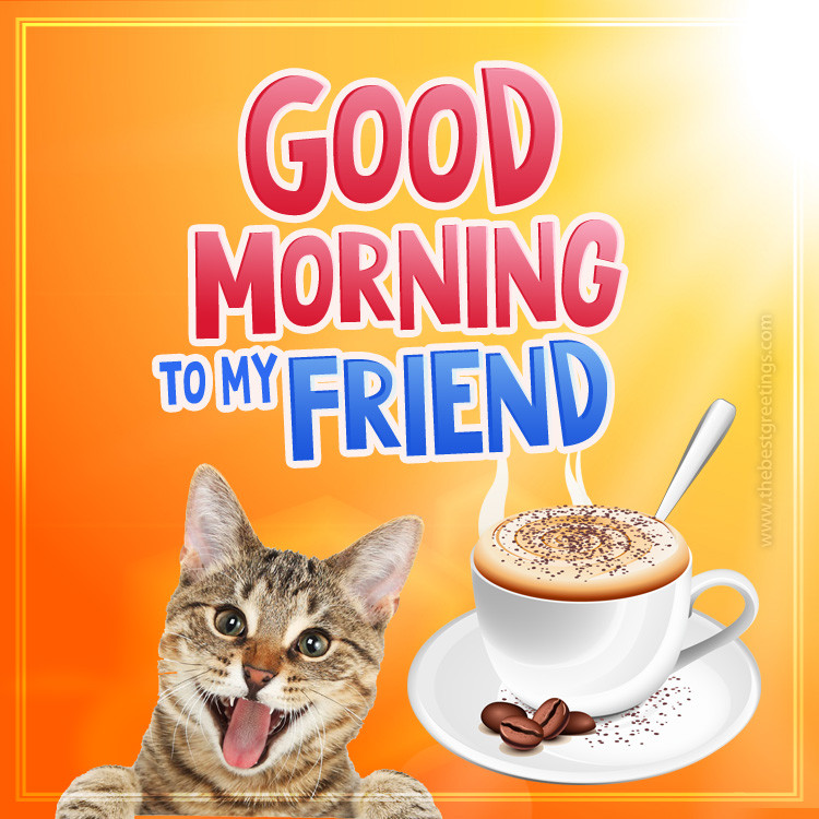 Good Morning to my Friend funny image with smiling cat (square shape image)