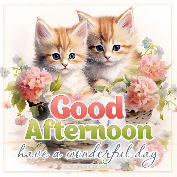 Good Afternoon have a Wonderful day image with cute kittens (square shape image)