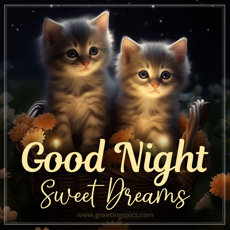 Good Night picture with cute kittens in a basket (square shape image)