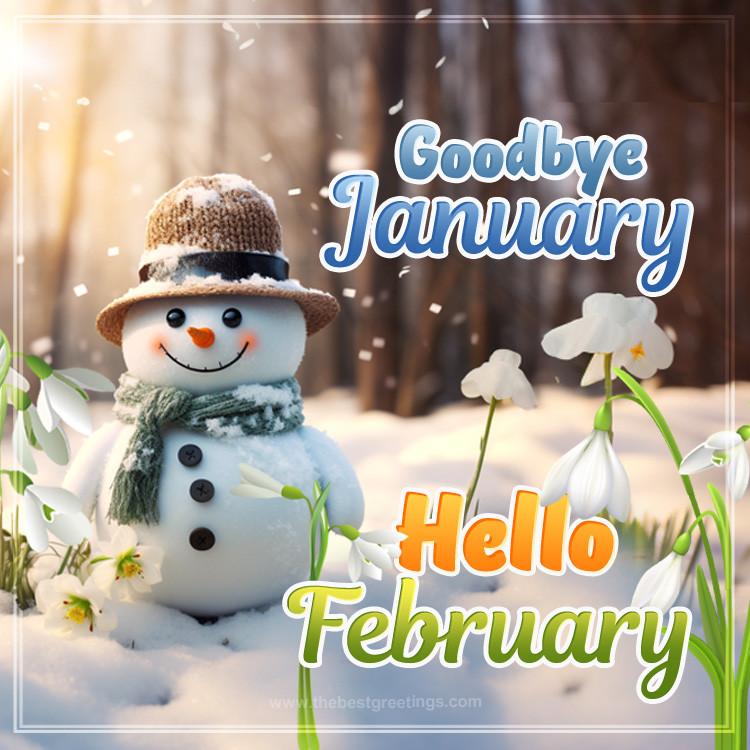 Goodbye January Hello February image with snowman and snowdrops (square shape image)